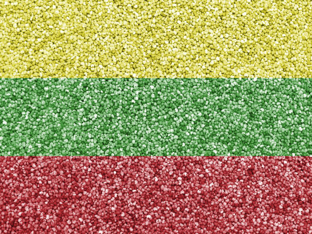 istock Textured flag of Lithuania in nice colors 1138862052