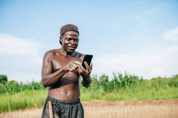 african farmer looking on mobile at field african mid-adult farmer looking on mobile at field  in Malawi malawi stock pictures, royalty-free photos & images
