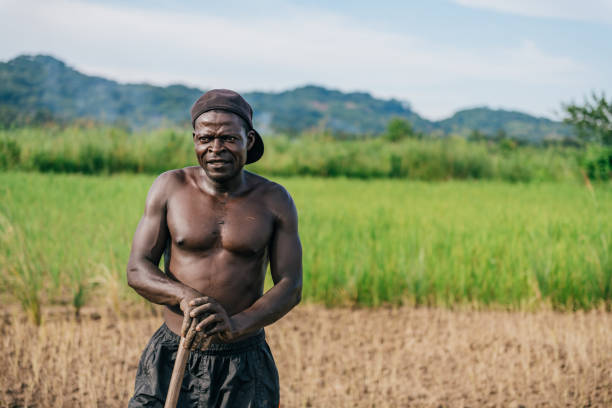 Portrait of mid adult farmer with pick on field  in Malawi