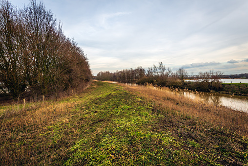 Colorful landscape with an embankment in a Dutch nature reserve near the city of Oosterhout, North Brabant, in the winter season.  In the background are high voltage lines and pylons.