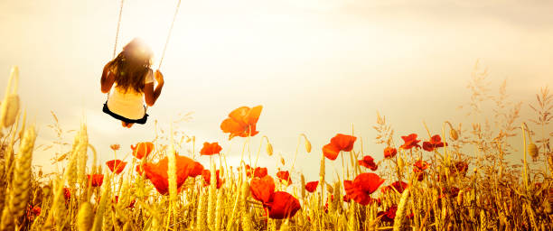 kobieta na huśtawce - poppy field sky sun zdjęcia i obrazy z banku zdjęć