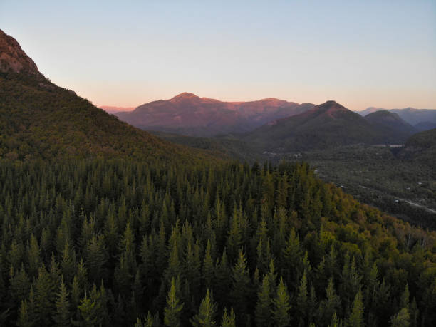 istock Sunset in the forests 1138871182