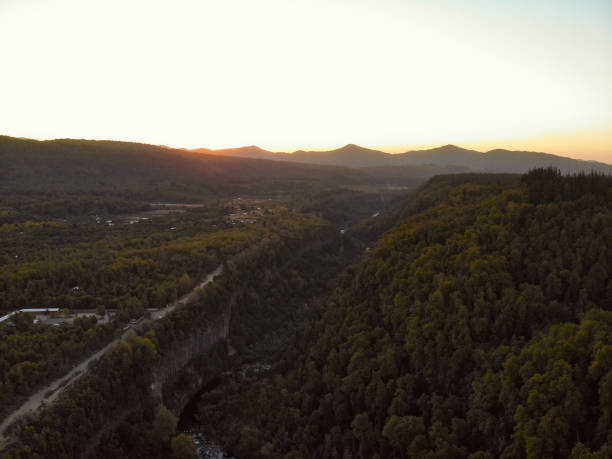 istock Sunset in the forests 1138871218