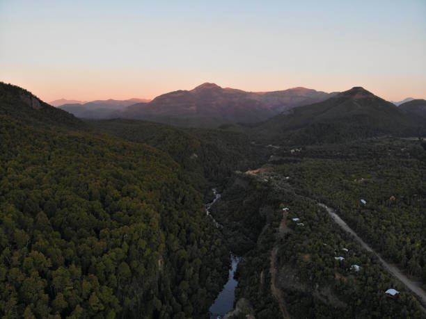 istock Sunset in the forests 1138871297