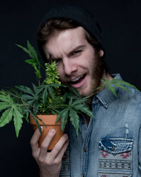 istock Young stoner man standing with marijuana plant 1138871594
