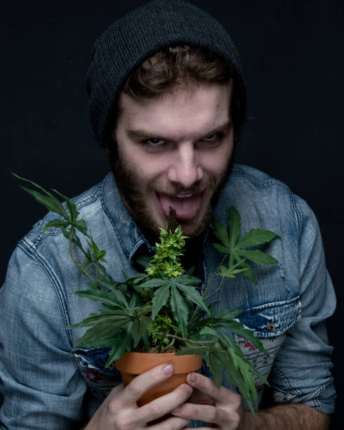 istock Young stoner man standing with marijuana plant 1138871605