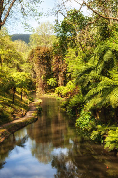 istock Tropical Park, Azores 1138876780