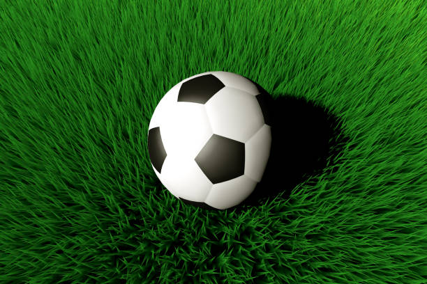 istock Soccer Ball on Grass Field 1138877823