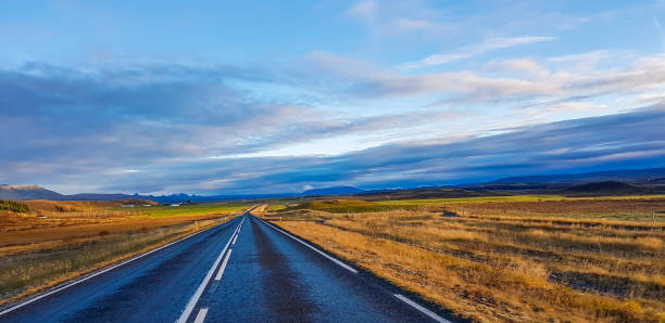 istock Iceland - Road through the lowlands 1138879856