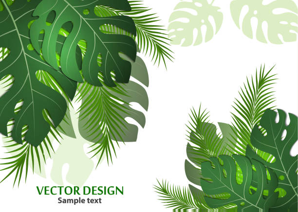 istock Vector background with tropical monster leaves and palm leaves. Bright abstract background for banner, flyer or cover with copy space for text or emblem - vector graphics 1138881135