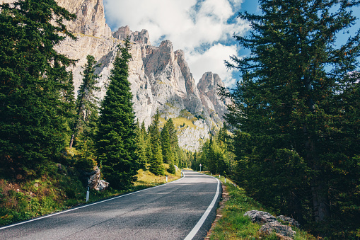 Scenic road through the forest in the Dolomites Alps, Italy