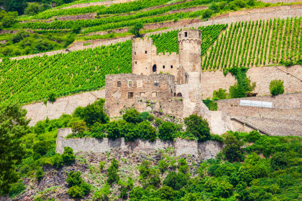 Burg Ehrenfels Castle is a ruined castle above the Rhine river near the Rudesheim am Rhein town in Germany
