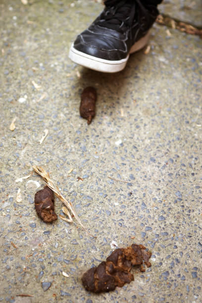 istock Foot almost on the poop 1138882917