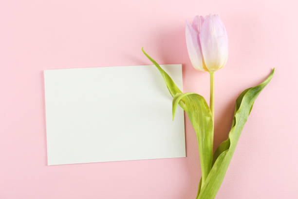 istock Floral composition with greeting card. 1138883010