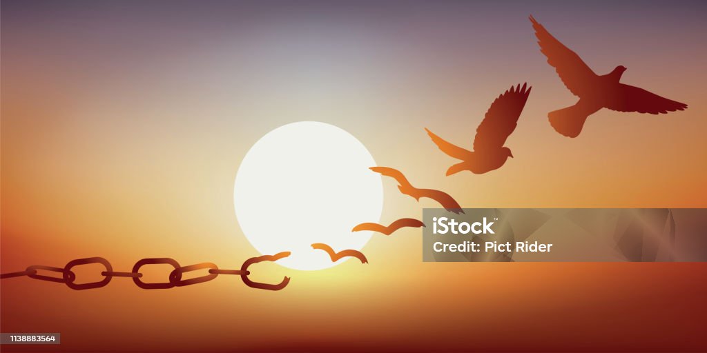 Concept of liberation with a dove escaping by breaking its chains, symbol of prison. Concept of freedom regained, with chains that break and turn into a dove that flies away at sunset. Freedom stock vector