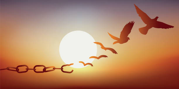Concept of liberation with a dove escaping by breaking its chains, symbol of prison. Concept of freedom regained, with chains that break and turn into a dove that flies away at sunset. birds flying in v formation stock illustrations