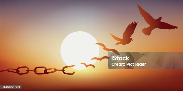Concept Of Liberation With A Dove Escaping By Breaking Its Chains Symbol Of Prison Stock Illustration - Download Image Now