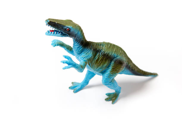 istock Dinosaur toys on the white background 1138892969