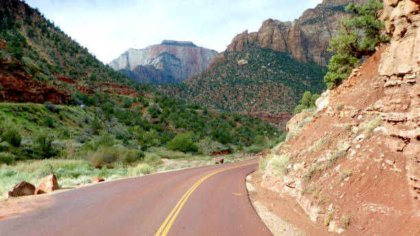 istock On the way on the Zion Mt. Carmel Highway 1138894626