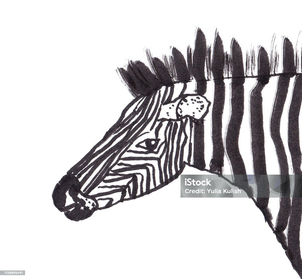 Zebra ink illustration Ink illustration of zebra created with brash pen. Image for graphic and web design Abstract stock illustration