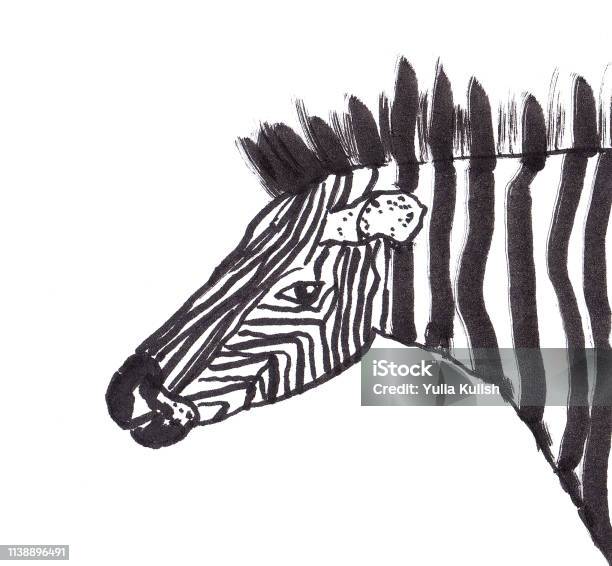 Zebra Ink Illustration Stock Illustration - Download Image Now - Abstract, Animal, Animal Wildlife