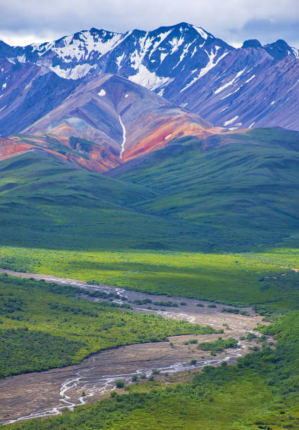 avec ses immenses montagnes et entourée d’une merveilleuse biodiversité se trouve le parc national et la réserve de denali. rivière, arbres et ciel nuageux. paysage, beaux-arts. parks hwy, alaska, eua: 28 juillet 2018 - scenics denali national park alaska usa photos et images de collection