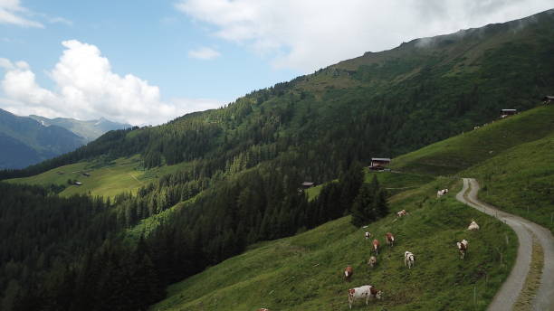 istock tyrol mountain landscape in summer 1138896695
