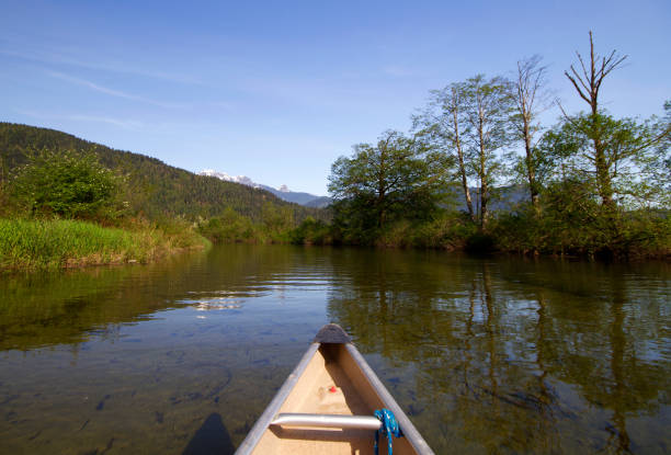 istock Canoeing through Widgeon Slough near Pitt Lake BC 1138897032