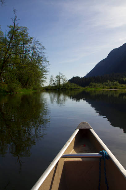 istock Canoeing through Widgeon Slough near Pitt Lake BC 1138897049