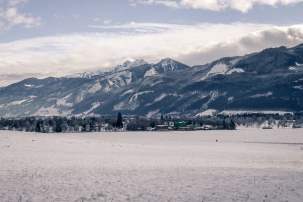 istock The snowy Alps 1138897962