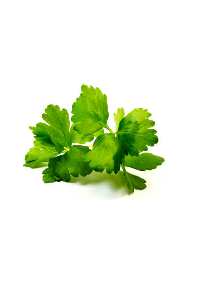 istock parsley isolated on white background 1138898185
