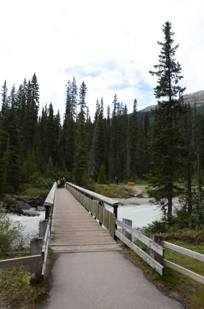 istock takakkaw falls in Yoho national park 1138899514