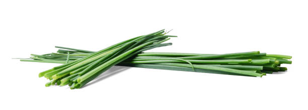 istock Two bunches of fresh chive onions on a white isolated background. 1138900074