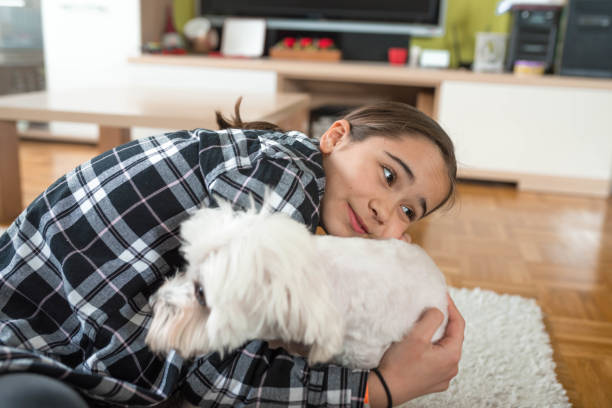 istock Little girl playing with a dog 1138900211
