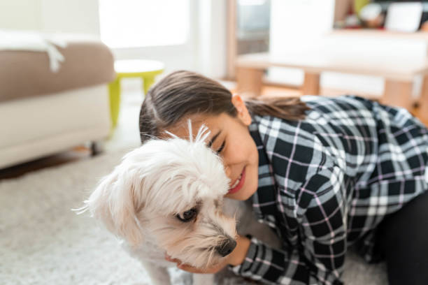 istock Little girl playing with a dog 1138900214
