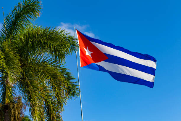 istock cuban flag in the wind with palm trees, cuba 1138901314