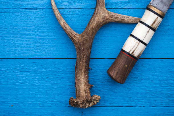 istock deer horn and bushcraft knife 1138904226