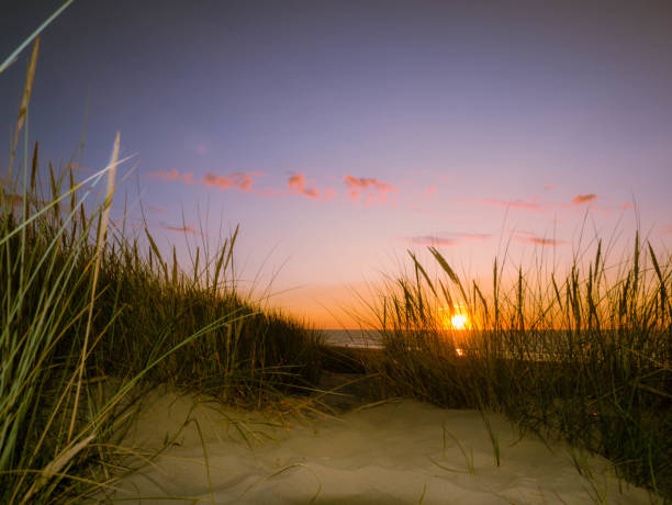 istock View from below through marram grass towards the setting sun at the beach 1138904264