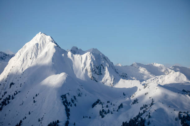 paisaje montañoso durante el amanecer con montañas cubiertas de nieve - noble fir fotografías e imágenes de stock