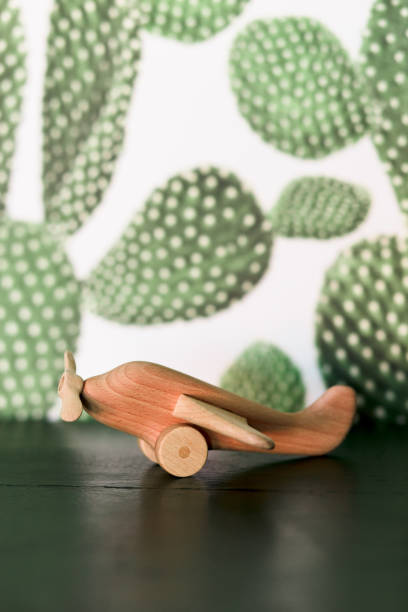 istock retro wood toy airplane on table with cactus background. 1138906776
