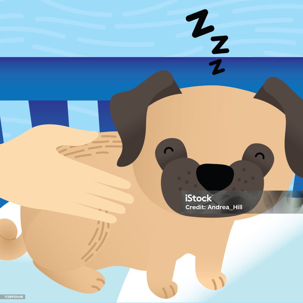 Cute Pug Sleeps in Laundry Basket While Owner Pets Him Animal stock vector