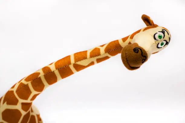 Photo of Stuffed giraffe. Baby  plush toy on white background