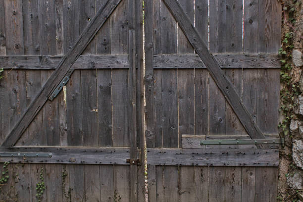 istock old wooden door from a ruin 1138913099