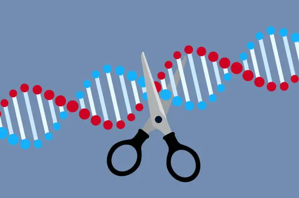 Vector illustration of Crispr - gene editing