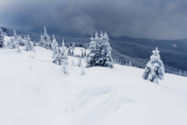 istock Trees covered with hoarfrost and snow in mountains. 1138915266