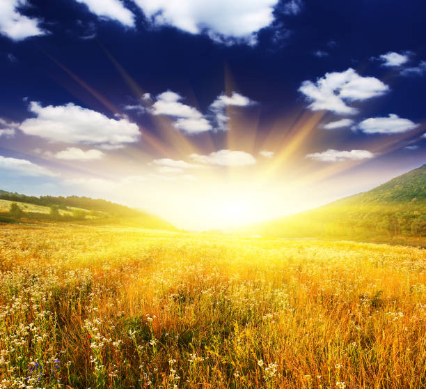 istock beautiful sunset over field with yellow grass 1138915482