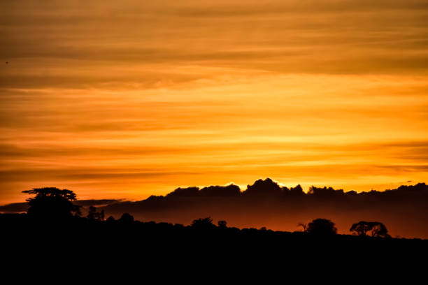 istock Beautiful Golden sunset 1138915678