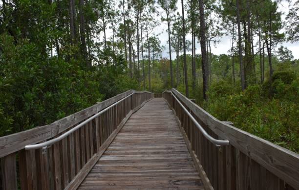 istock Bridge at the Tibet Butler Preserve 1138918129