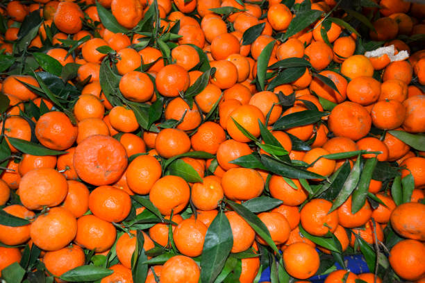 muchos brillantes naranjas saturadas orgánicas brillantes en el mercado. patrón con hojas - leafes fruit orange leaf fotografías e imágenes de stock