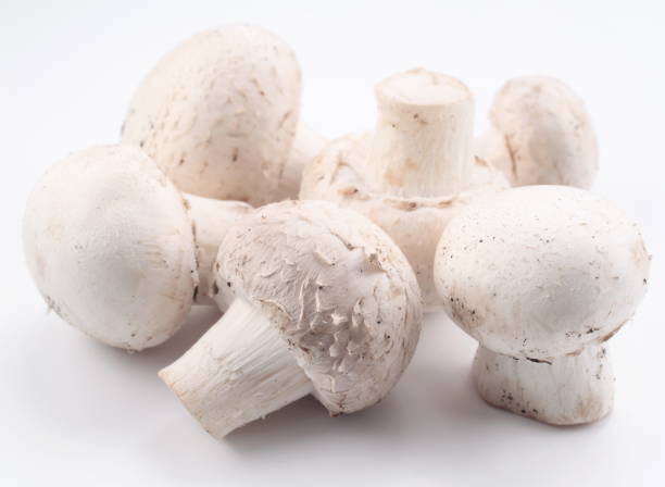 istock Handful of champignons. 1138920027